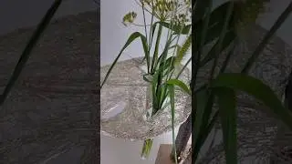 🌿BLATTWERK DIY🌿 #diy #dekoideen