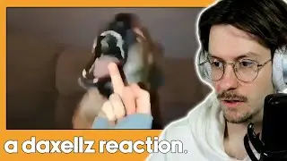 Daxellz Reacts to UNUSUAL MEMES V241