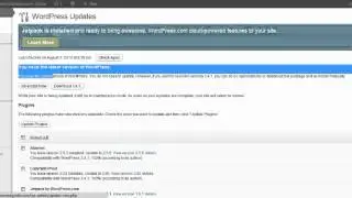 How To Keep Your Wordpress Website Up-To-Date