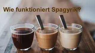 Wie funktioniert die algorithmische Spagyrik? Erl&auml;uterung am Beispiel Kaffee + Milch + Zucker