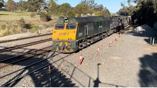 SSR RL306, 1201, 48s35 & BRM002 with empty grain, East Maitland - 23/6/22