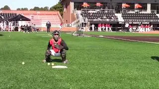 PBR Campbell Showcase Rodney Bonilla C/3B