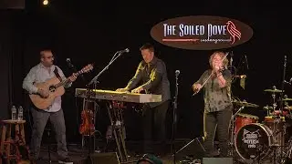 Eileen Ivers - 7 min of Irish Trad Joy - intimate venue