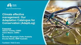 Climate effective management: Our adaptation catalogue for conservation