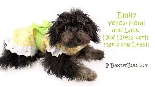 Emily Yellow Floral and Lace Dog Dress with matching Leash