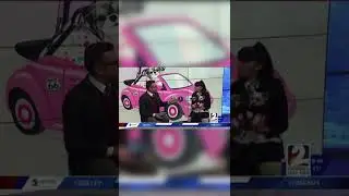 Sam, Tinkerbelle The Dog & Belle featured on Colorado&rsquo;s Very Own News 2 Morning Show.
