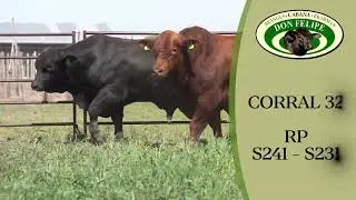 CORRAL 32 S241   S231 DON FELIPE