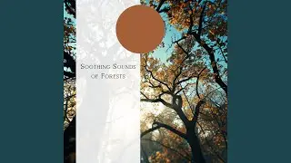 Woodland Peace