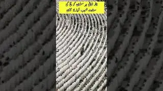 makkah live today|makkah |mecca|SaudiArabia #youtubeshorts #factscroll #hajj