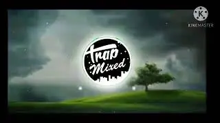 link template avi pleer