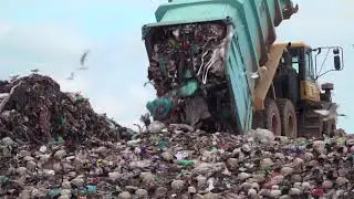 Consumerism and its Effect on Our Environment