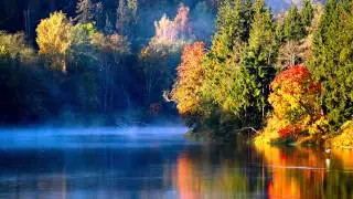 nExow - Autumn Feelings [Liquid Drum 'n' Base / Chillstep]