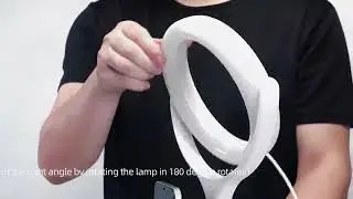 Ring Light with Stand and Phone Holder for Laptop Video Conference Lighting Zoom Meeting Light