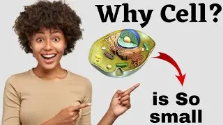 Why Cells are so small? || कोशिका इतनी छोटी क्यों होती है? || Biology ||  All classes