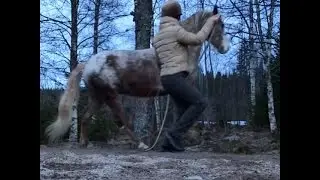 Prickig tr&auml;nar lite anslag