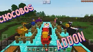 📌ADDON CHOCOBOS| MINECRAFT PE 1.14.60| MOB PARA MINECRAFT BEDROCK