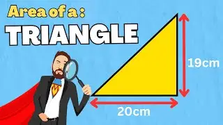 How To Measure The Area Of A Triangle | The Maths Guy