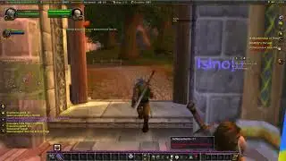 World of Warcraft Online/Offline Local Server - Testing A.I, and Leveling Character