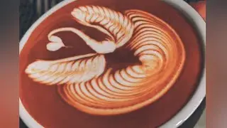 Wing Swan 🦢 Latte Art