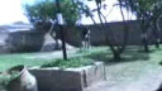 maxi potter bmx