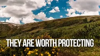 a love letter to america's national&nbsp;parks