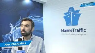 Shipping needs transparency to embrace digitalization
