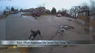 Monona Police officers hospitalized after several dog bite wounds