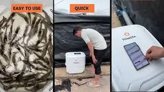 BENEFITS OF USING TOMOTA S3+ MONITORING SHRIMP GROWTH
