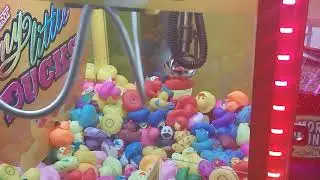 My Little ducks Claw machine.!  A good prize?!
