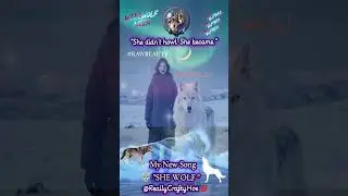🐺 