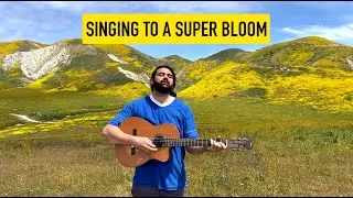 Been A Long Way (Super Bloom Session) #widescreen