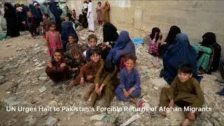 UN Urges Halt to Pakistan&rsquo;s Forcible Returns of Afghan Migrants