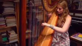 Ed Sheeran - Photograph (Harp Cover)