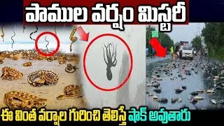 Top 10 Most Amazing Natural Phenomenon | Fish Rain - Snakes Rain - Facts In Telugu | Telugu Ammayi