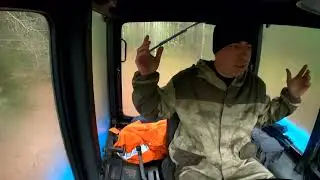 А САЖАЮТ ЛИ ЛЕС?   