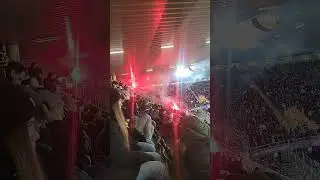 Young Boys v Red Star Belgrade