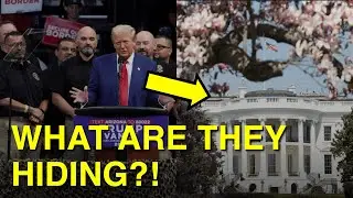 Trump Aide Dodges Hand Bandage Mystery Questions