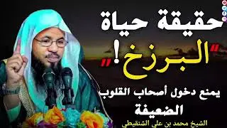حقيقة عالم البرزخ في القبر يمنع أصحاب القلوب الضعيفة || الشيخ محمد بن علي الشنقيطي حفظه الله