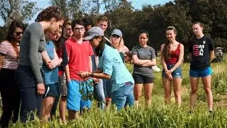 Stanford Educational Farm hosts students from across campus