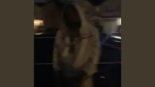 Pajamas