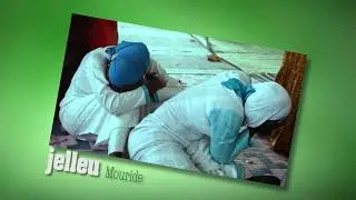Mouride Dafay Daanu Leer