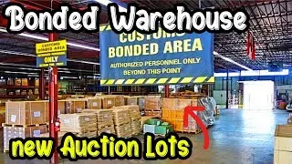 Custom Auction new Lots | Kgtl Port