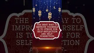 Divine Reflections: An Islamic Quotes Sanctuary - Discover Spiritual Wisdom and Guidance