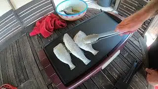 PARILLADA DE POISSONS : SIMPLE ET BON    HD 720p