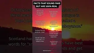 Facts that sound fake but are 100% real! Don&rsquo;t forget to like and subscribe! ;)
