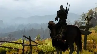 The Witcher 3 - Just the finest Finisher Combos - Finishing Moves