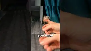 Хорек, самый милый убийца в мире 🦦 🥺 ☠️