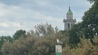 Durch die Lagune mit dem Boot an den Nistpl&auml;tzen der V&ouml;gel vorbei zur Insel Barnaba