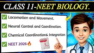 Complete Biology in 15 days 🔥l NCERT based revision 💯💪 l NEET biology 2026 l NTA NEET 2026