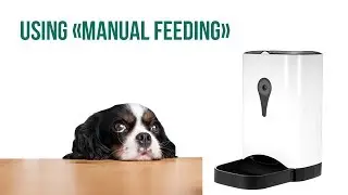 Manual Feeding | Automatic Pet Feeder by FEED'EM